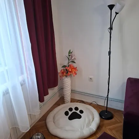 Demetra * Sremska Mitrovica